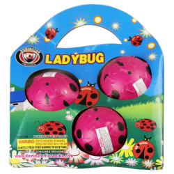 Lady Bugs